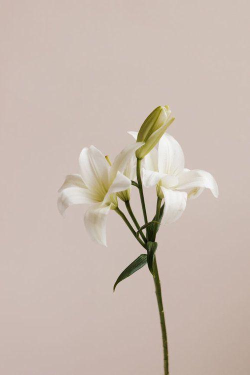 Enchanted Garden Floral Embrace